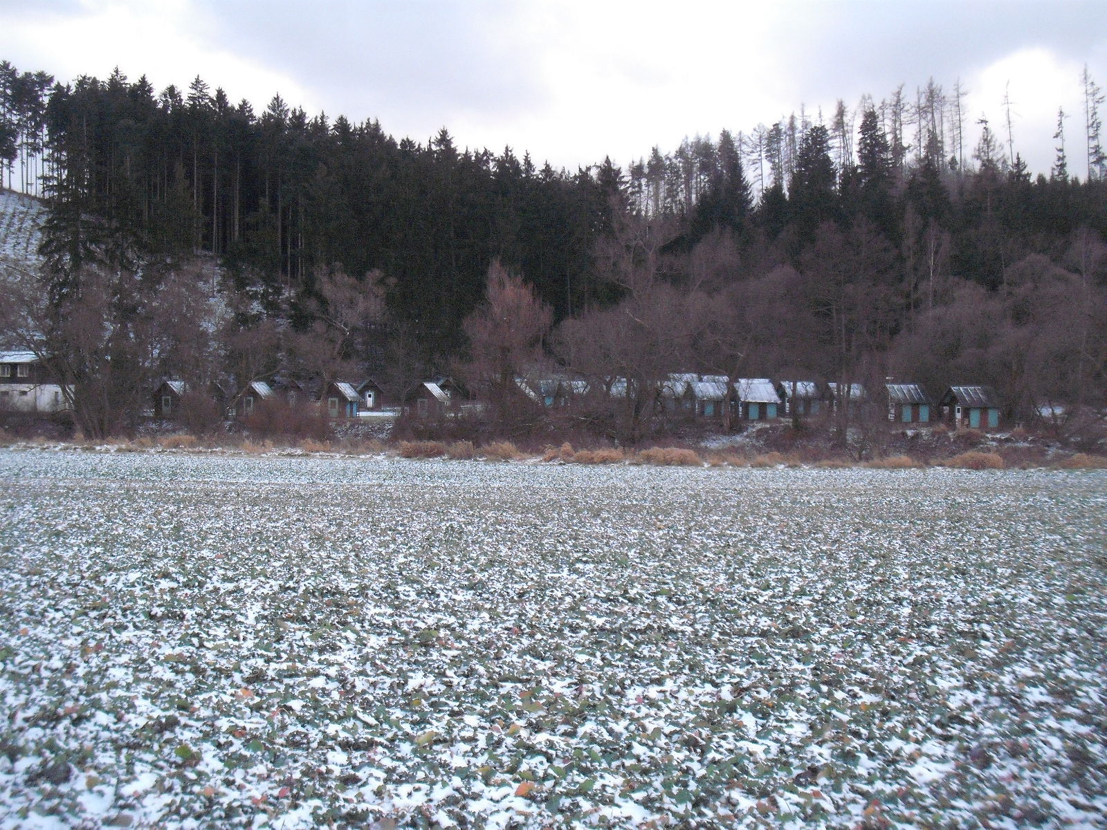 21.1.2012 004