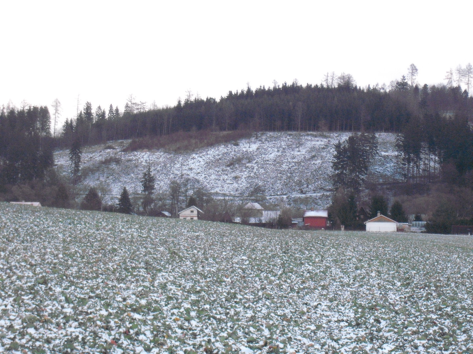 21.1.2012 006